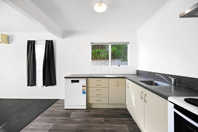 164C Old Farm Road Hamilton East_3