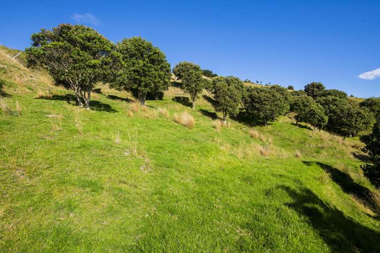 87 Lochiel Street Mahia_16