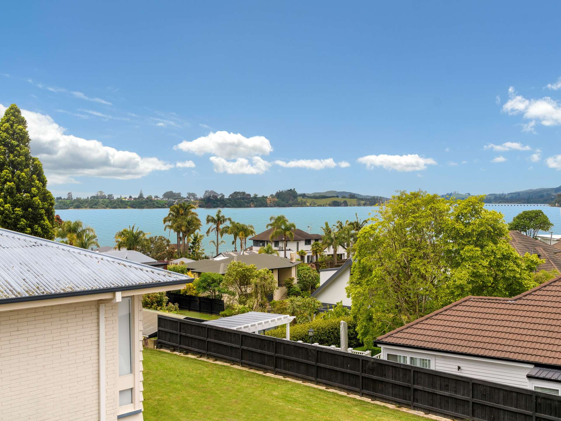 43b Harvey Street Tauranga South_0