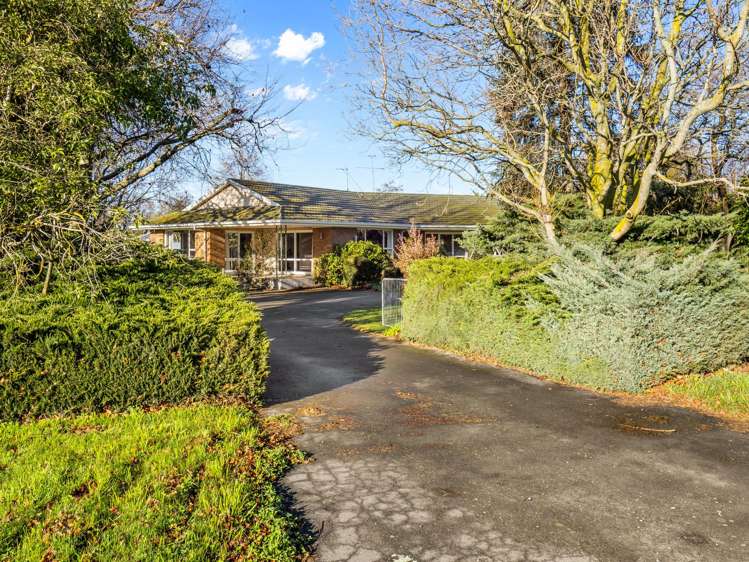 55 Peters Street Hinds_33