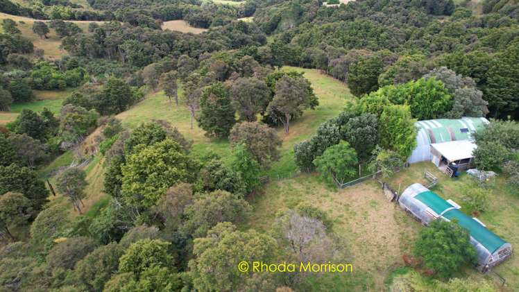 318 Franklin Road Paparoa_62