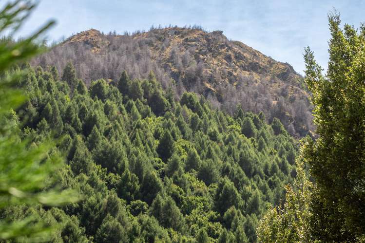 51F Manse Road Arrowtown_11