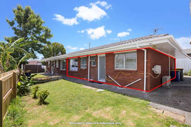 3/149 Astley Avenue New Lynn_1