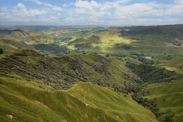 3104 Mangamahu Road Mangamahu_16