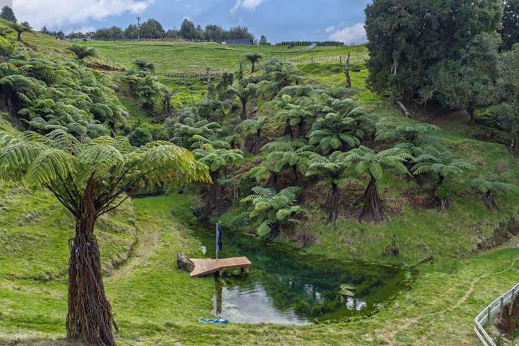 412 Pekanui Road Puketotara_13