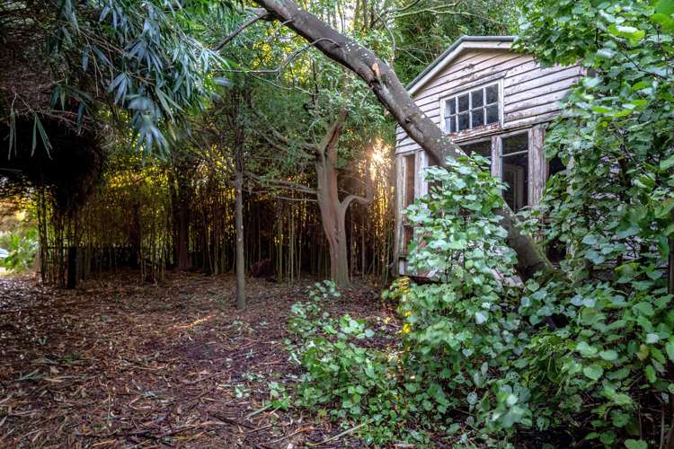 12 Glendining Road Waihua_18
