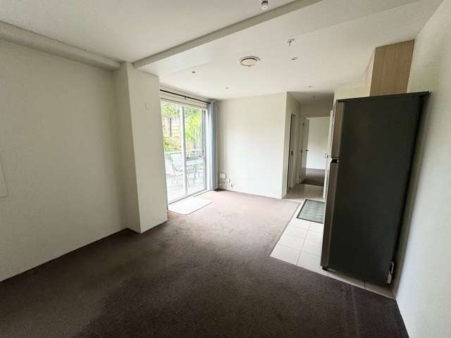 113/10 Ronayne Street Auckland Central_1