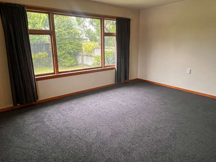 20 Centaurus Road Cashmere_10