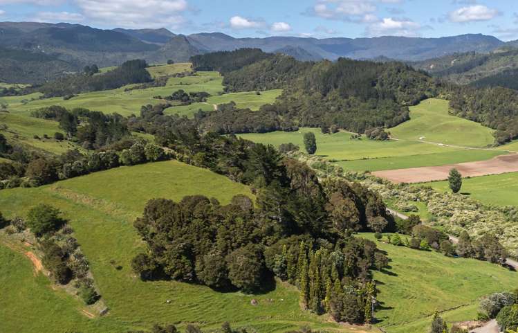 37 Kapowai Road Coroglen_43