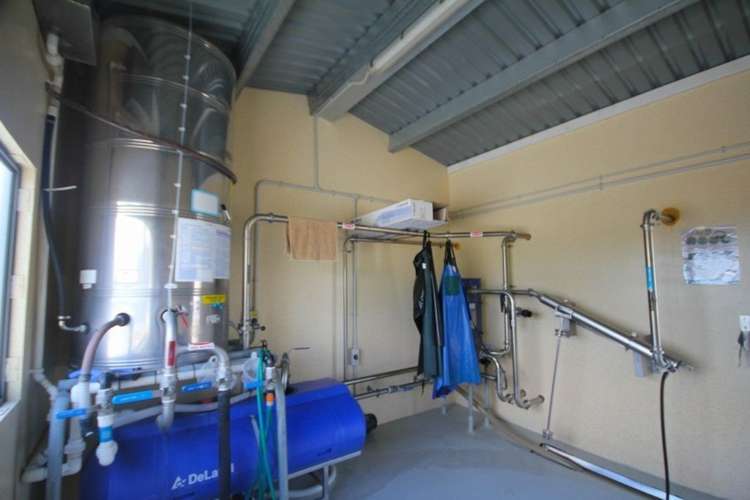 801 Burma Road Tapora_9