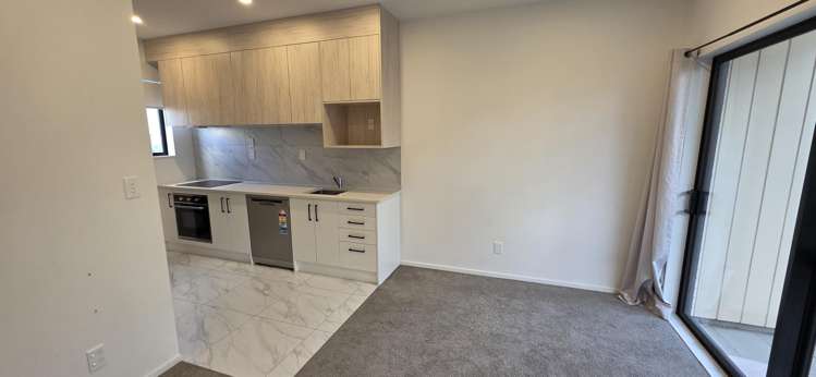 11 Hari Place Mangere Bridge_5