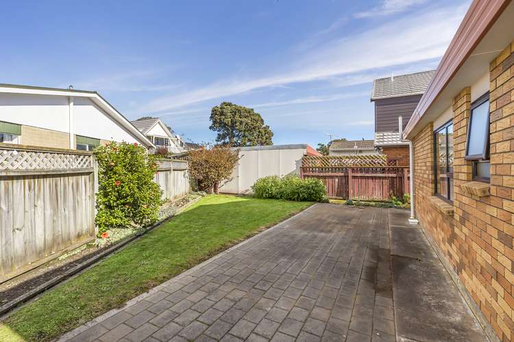 42 Devonshire Road Miramar_18