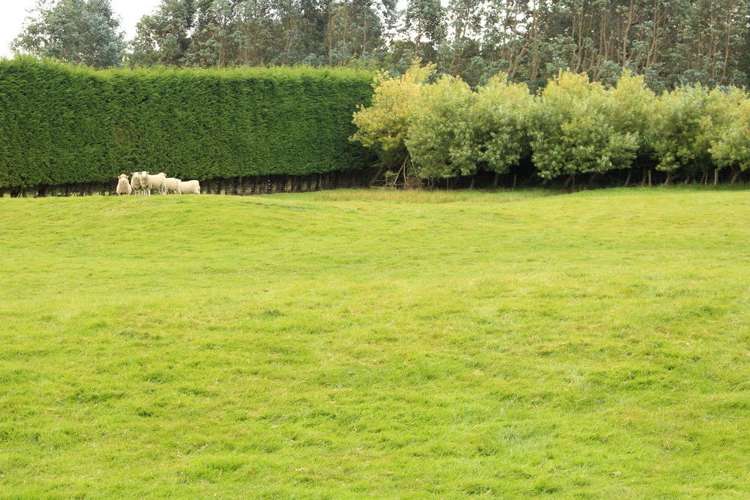 232 Oreti Road Otatara_15