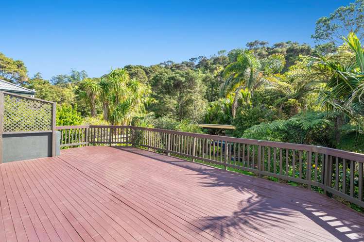 133a Glendhu Road Bayview_4
