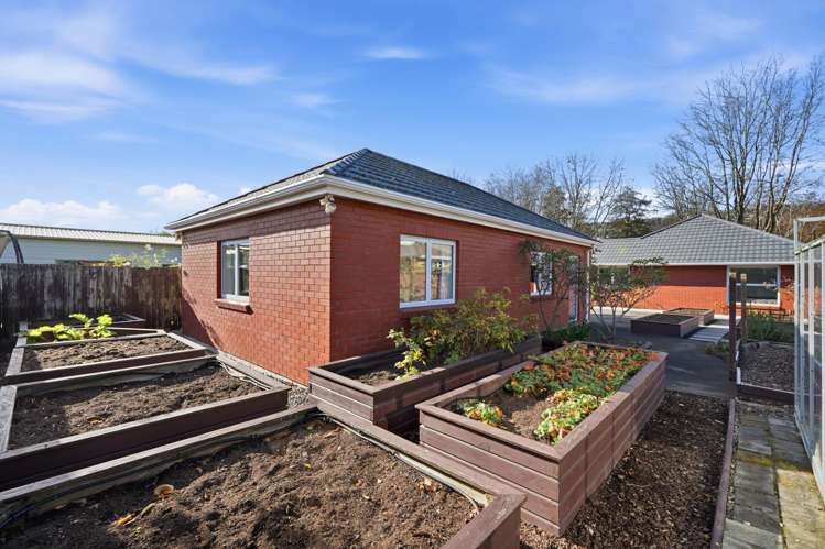 20 Holliss Avenue Cashmere_19