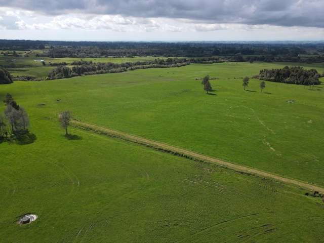 452 Surrey Road Rd 8_2