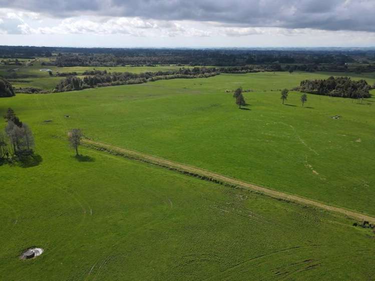 452 Surrey Road Rd 8_2