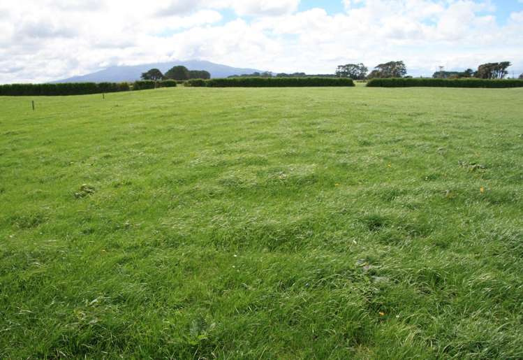 939 Auroa Road Auroa_20