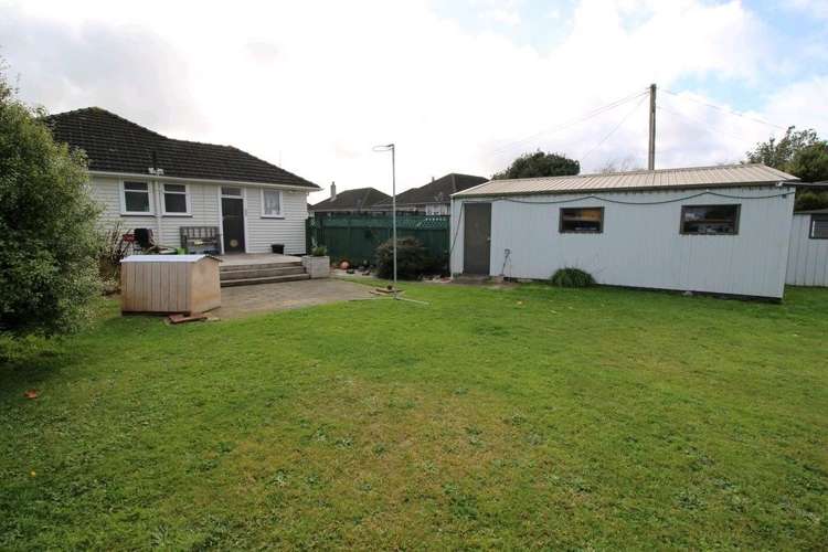 20 Ward Street Bulls_37