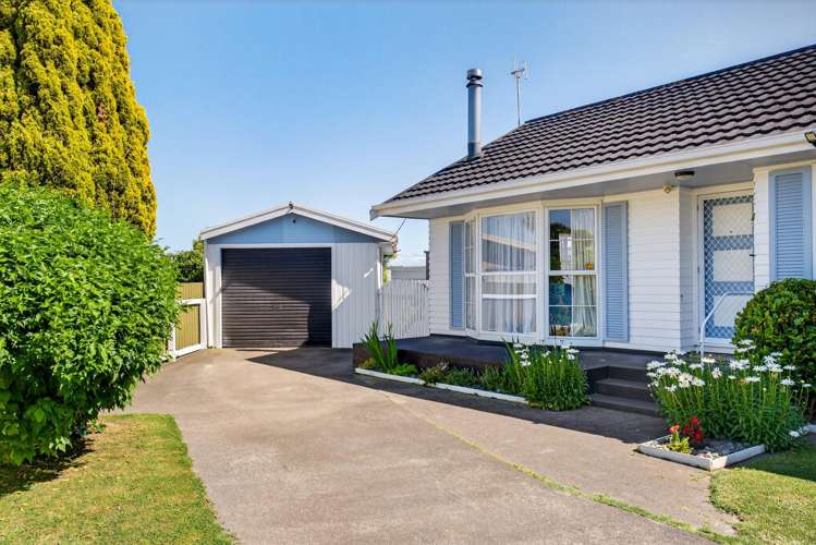 20 Norfolk Street Tamatea_15