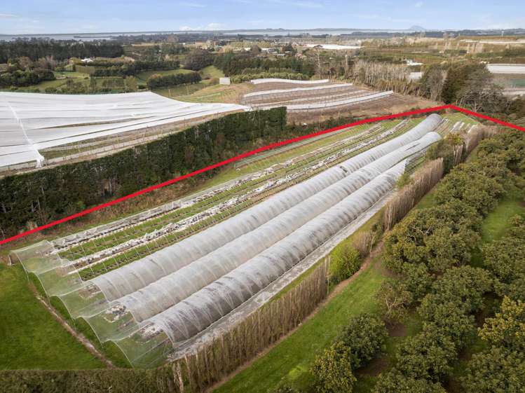 44 Walker Road West Katikati_32