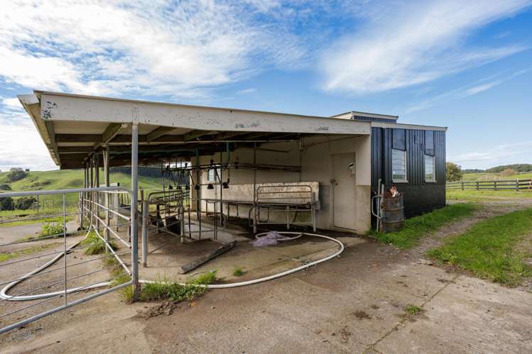 1239 Waotu Road Putaruru_15