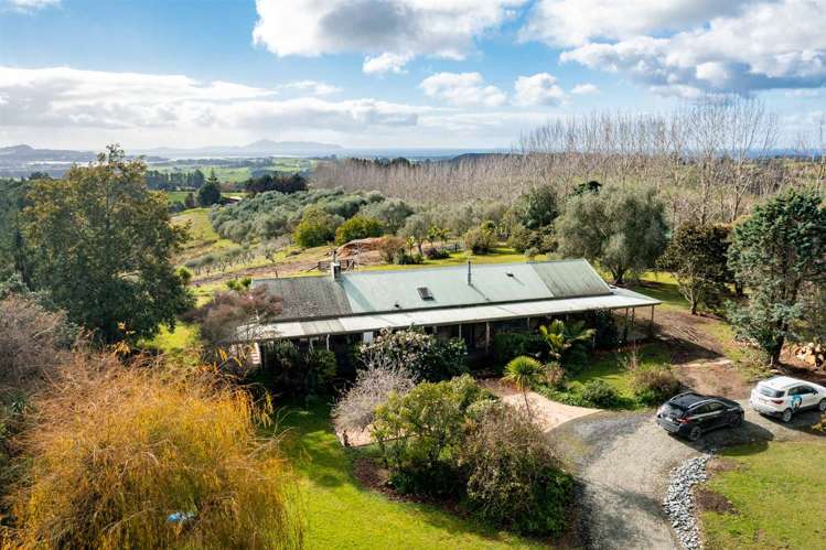 212 Staniforth Road Kaiwaka_21