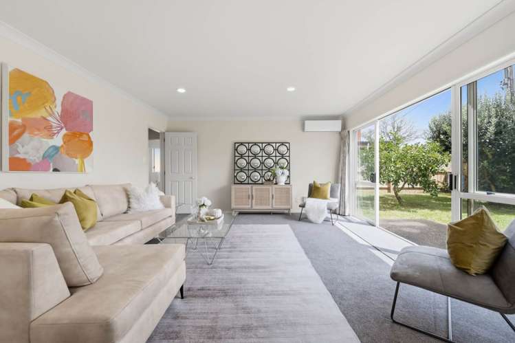 239 Campbell Road Greenlane_4