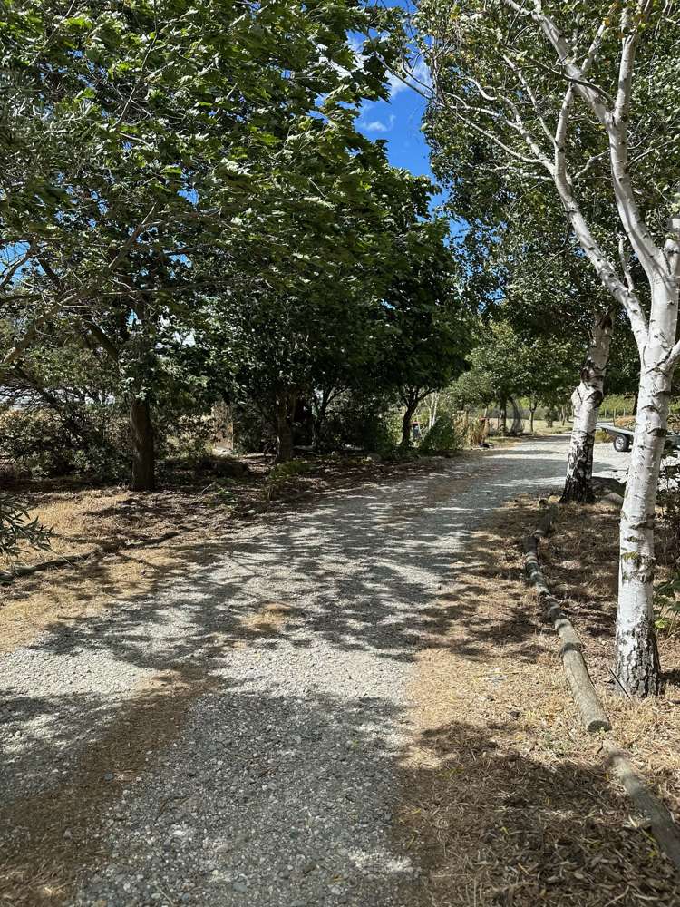 6 Thomson Gorge Road Tarras_11