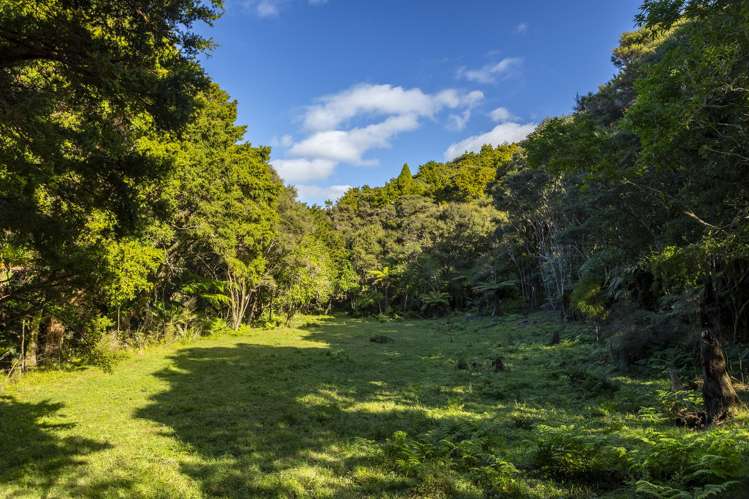 723B Whangarei Heads Road Parua Bay_11