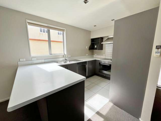 6A Elizabeth St Riccarton_1