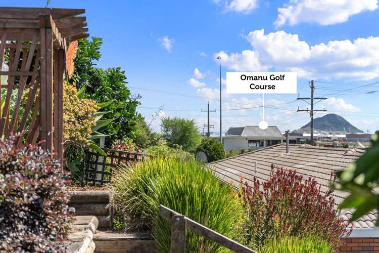 4 Palm Court Mount Maunganui_9