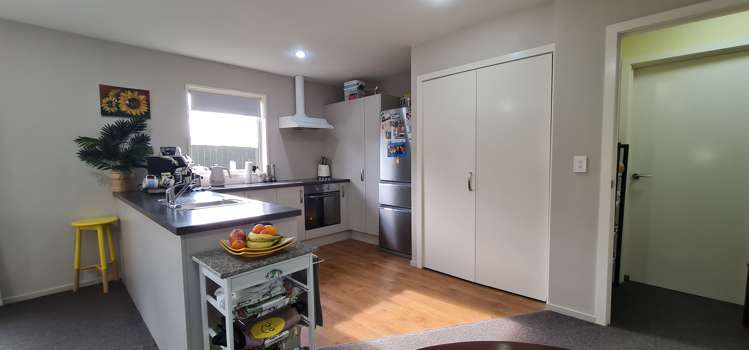 315a Tancred Street Hampstead_5