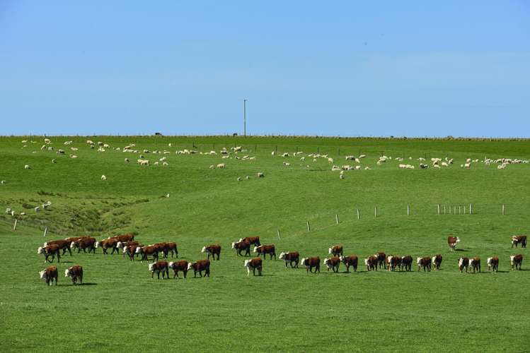 790 Mahia East Coast Road Māhia_15