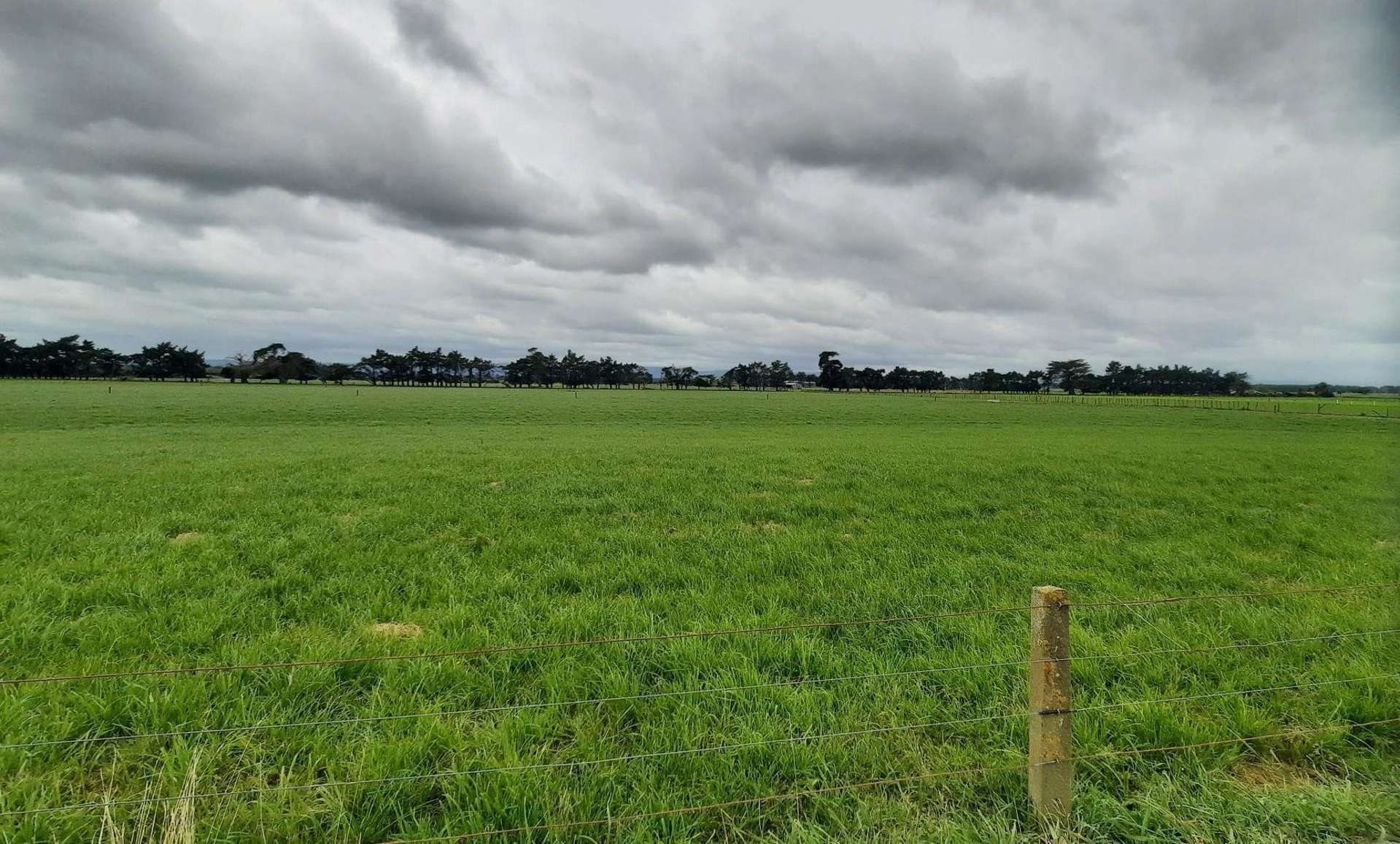 1040 Roberts Line Bunnythorpe_0