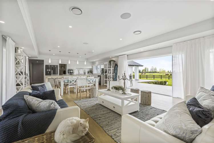 27c Marshmeadow Road Newstead_7