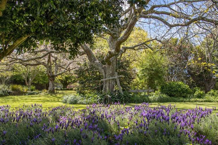 76 Pukakura Road Katikati_22