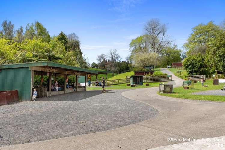 McLaren Falls Road_5