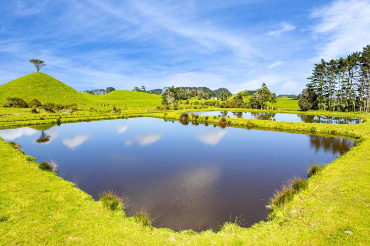 677 Newall Road Newall_22