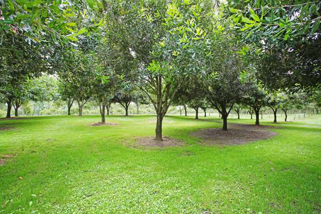 26 Ernest George Drive Karaka_3