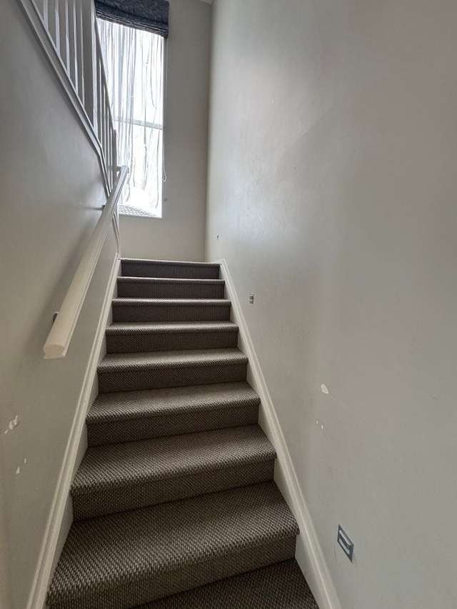 14 Arranmore Drive Flat Bush_4