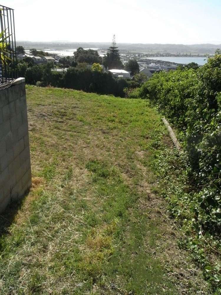 12a Roslyn Road Bluff Hill_6