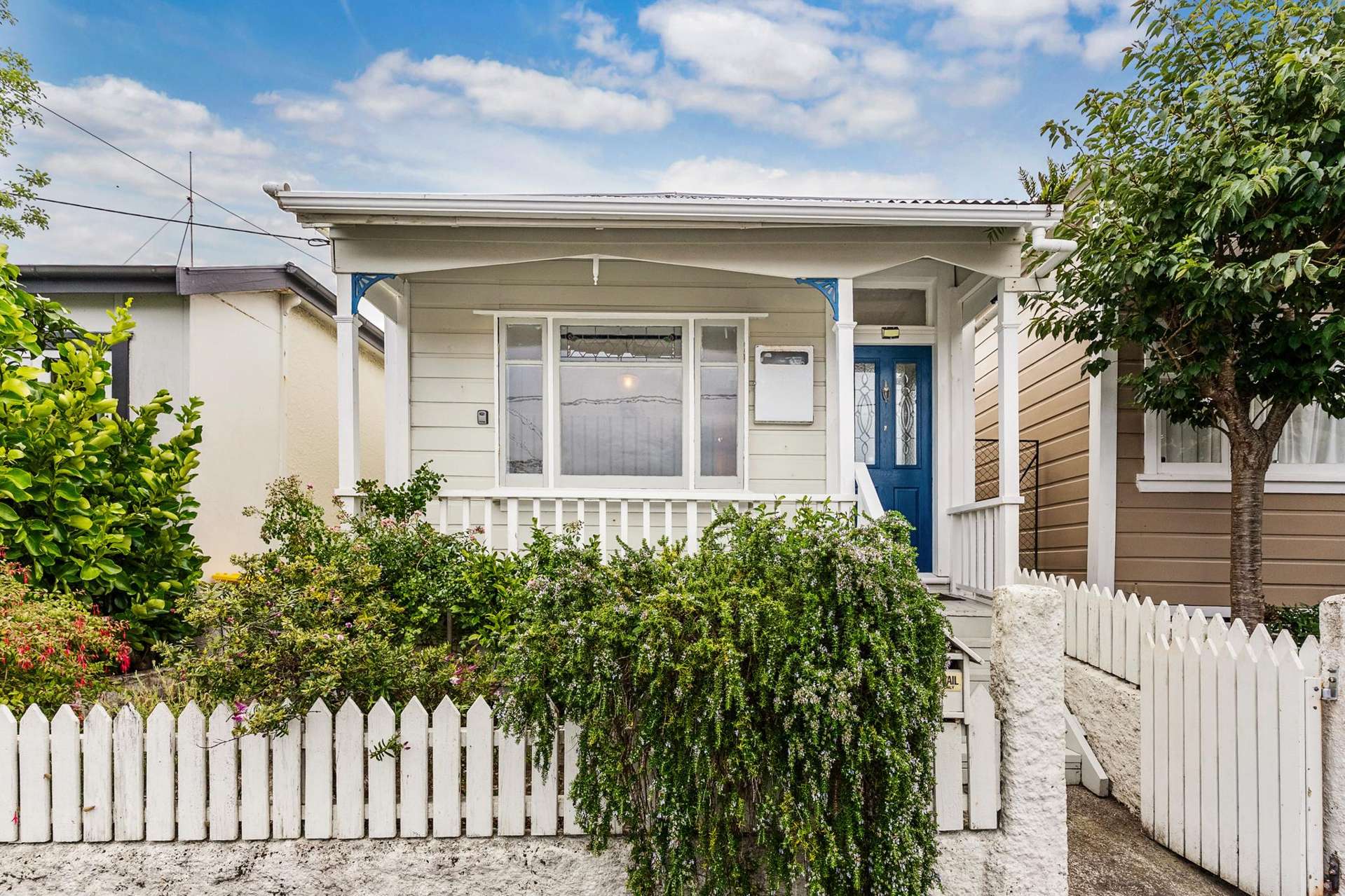 15 Picton Avenue Newtown_0