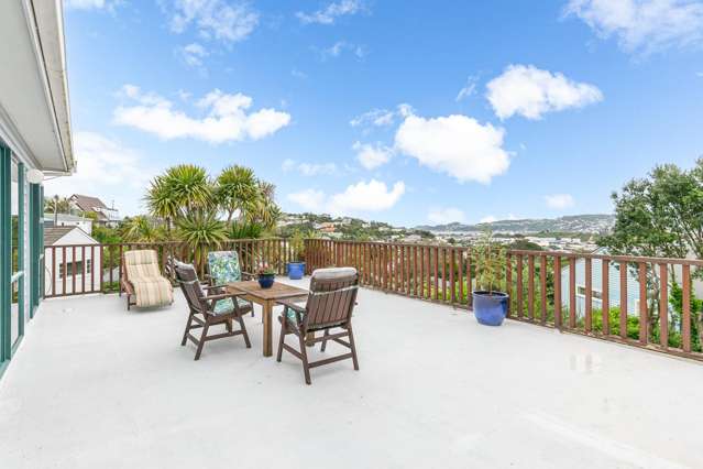 39 Nevay Road Miramar_1