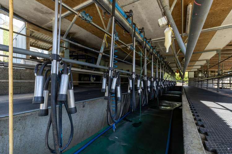 537 Ronga Road Rai Valley_5