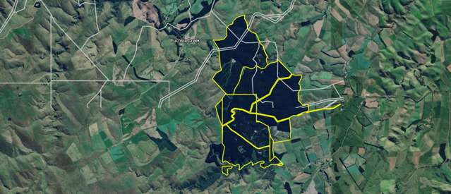 Alpine Forest - Strategic Forestry and Carbon Investment Asset