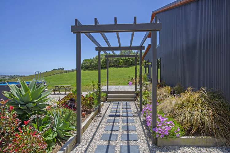 239 Hills Road Raglan_26