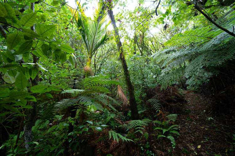 99 Elmslie Road Pinehaven_24