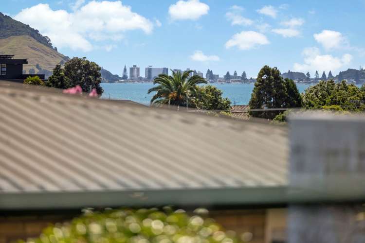 517 Otumoetai Road Otumoetai_14