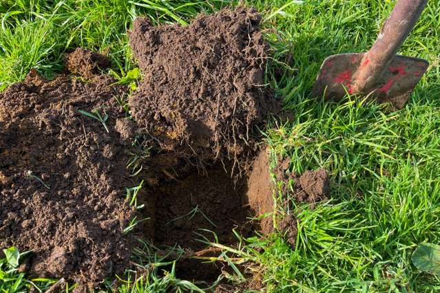 392 and 421 Journeys End Tapora_2